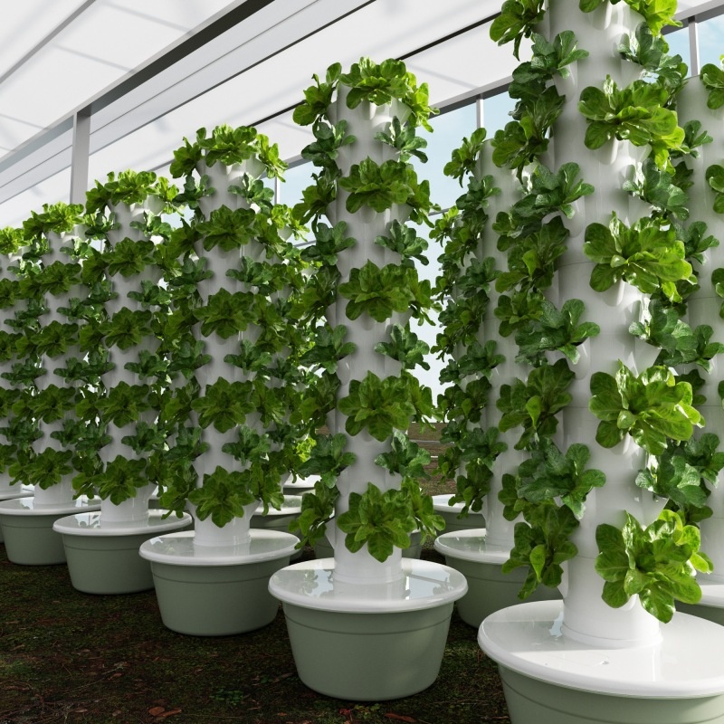 Smart Garden Greenhouse - 2024 أنظمة النمو المائية للحديقة ذات