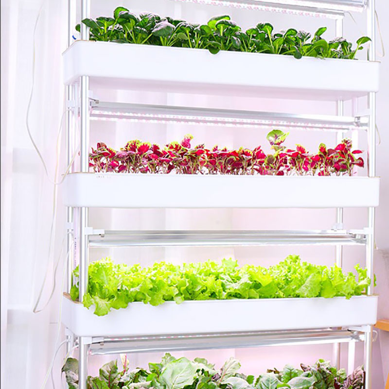 نظام زراعة الزراعة المائية عمو - مراجعة Smart Garden Vertical Planter وسعره