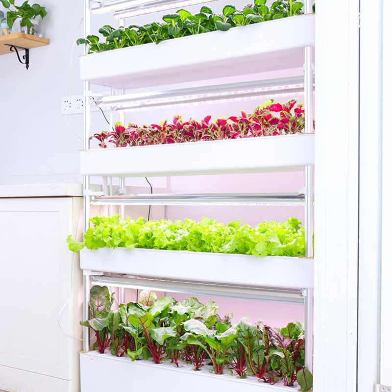 نظام زراعة الزراعة المائية عمو - مراجعة Smart Garden Vertical Planter وسعره