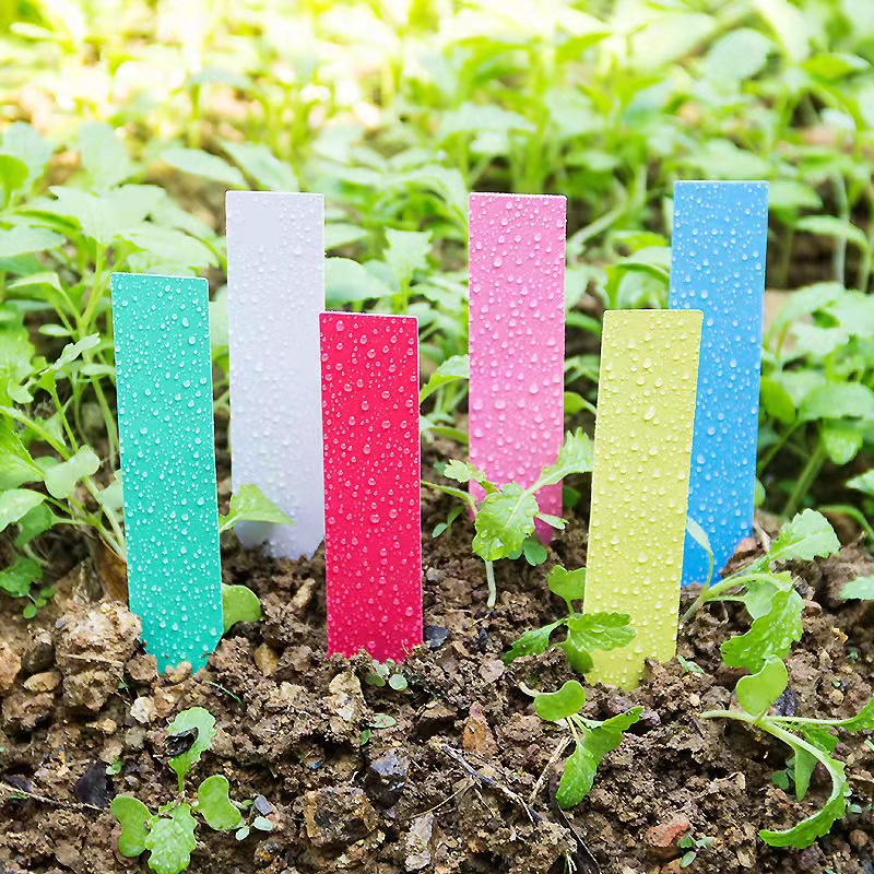 100 قطعة تسميات نباتات الحديقة - مراجعة Garden Journal Planner وسعره