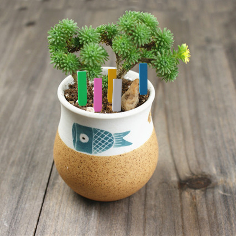 100 قطعة تسميات نباتات الحديقة - مراجعة Garden Journal Planner وسعره