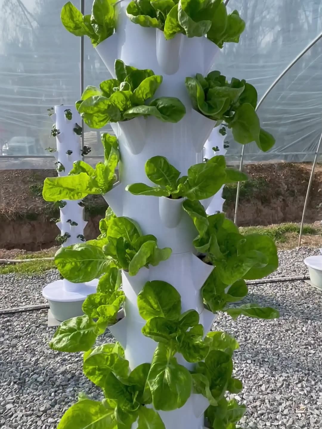 2024 أنظمة النمو المائية للحدي - مراجعة Smart Garden Greenhouse وسعره