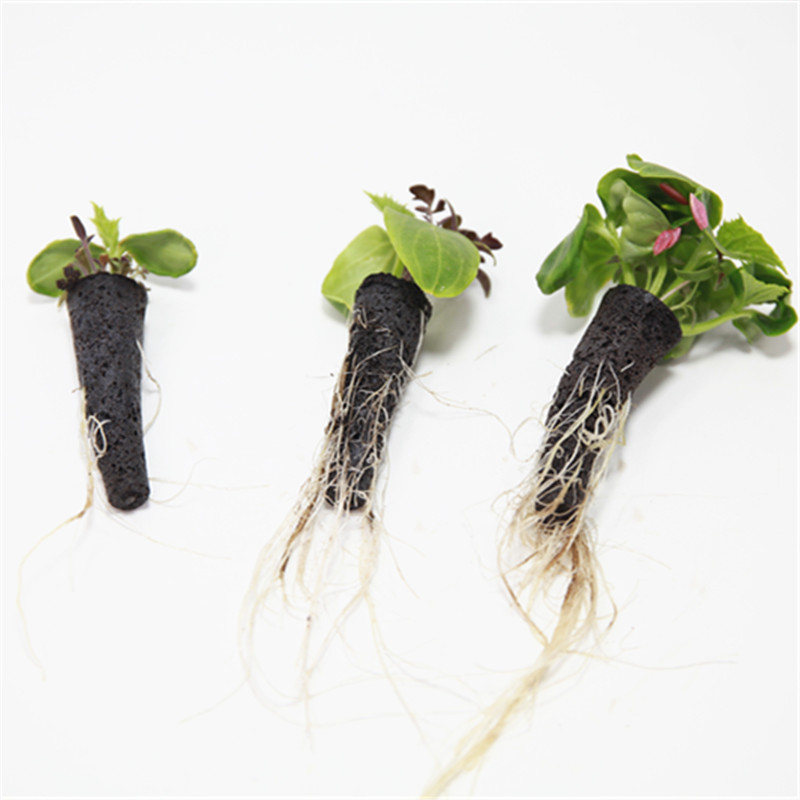 50/100 قطعة سلة نمو النبات لنب - مراجعة Aerogarden Seed Pod وسعره