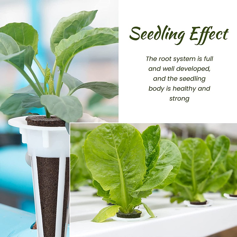 50/100 قطعة سلة نمو النبات لنب - مراجعة Aerogarden Seed Pod وسعره