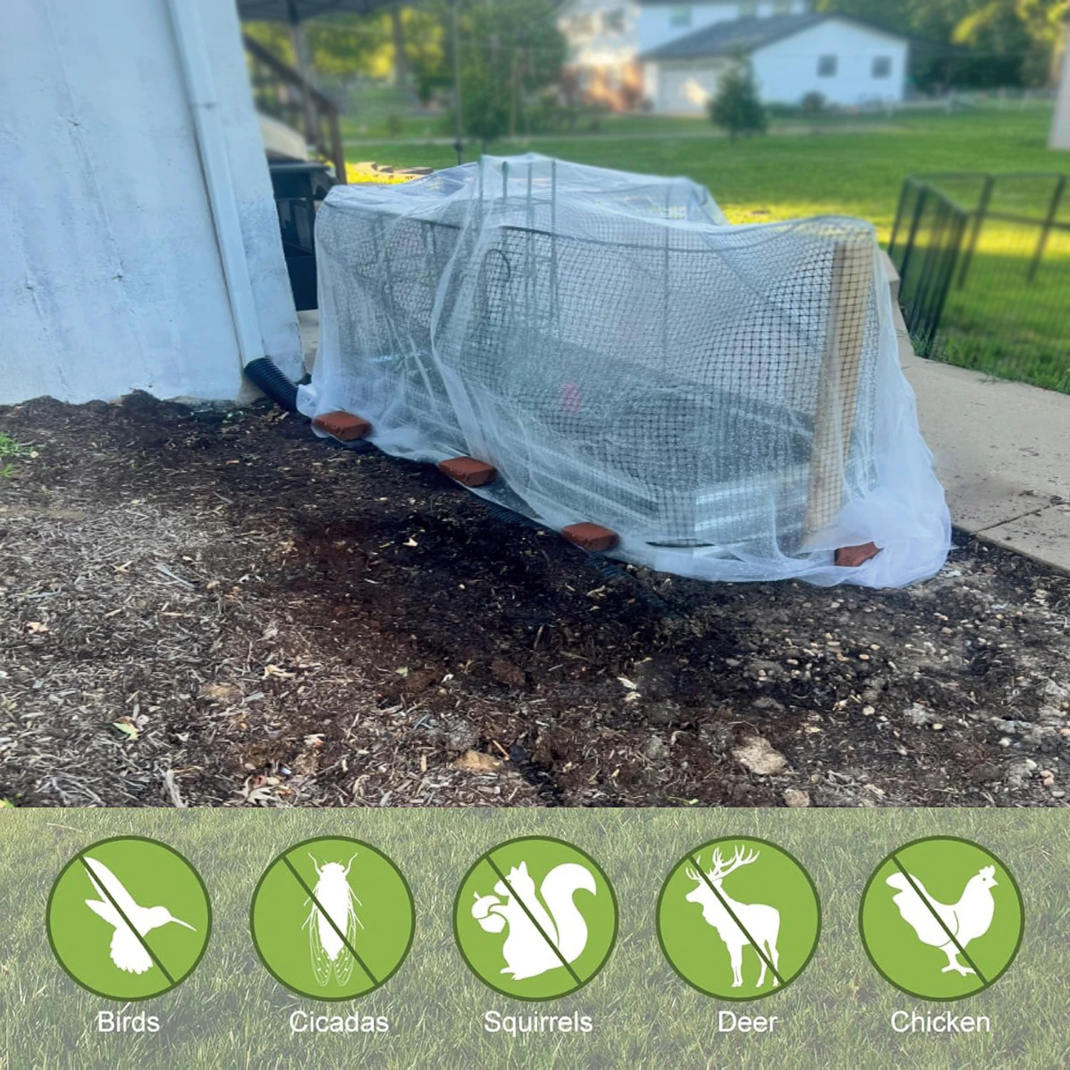 شبكة حماية الحشرات، نباتات الح - مراجعة Smart Garden Greenhouse وسعره
